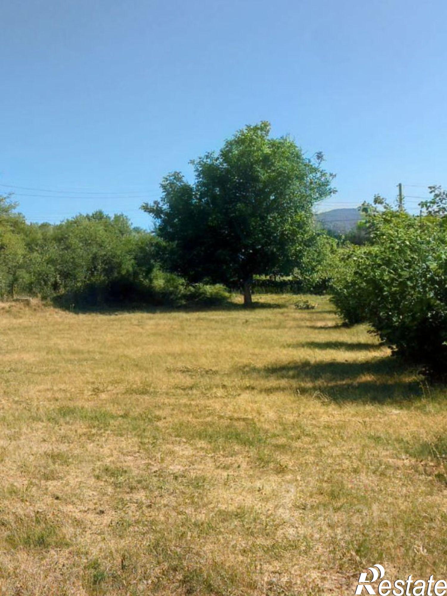 Купить землю, земельный участок за 4 300 000 рублей на ул Садовая, 1