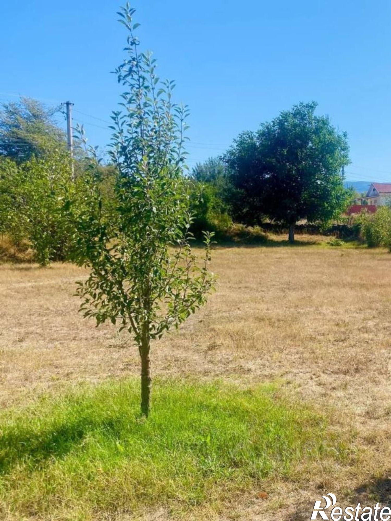 Купить землю, земельный участок за 4 300 000 рублей на ул Садовая, 1