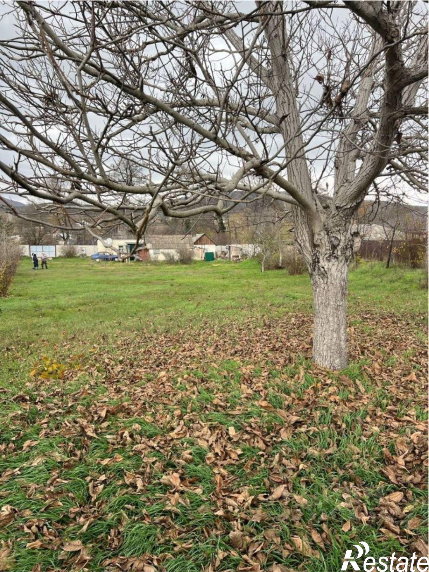 Купить землю, земельный участок за 4 300 000 рублей на ул Садовая, 1