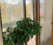 1-комн, 44кв м, этаж 5/5 Севастополь, улица Генерала Жидилова, 26