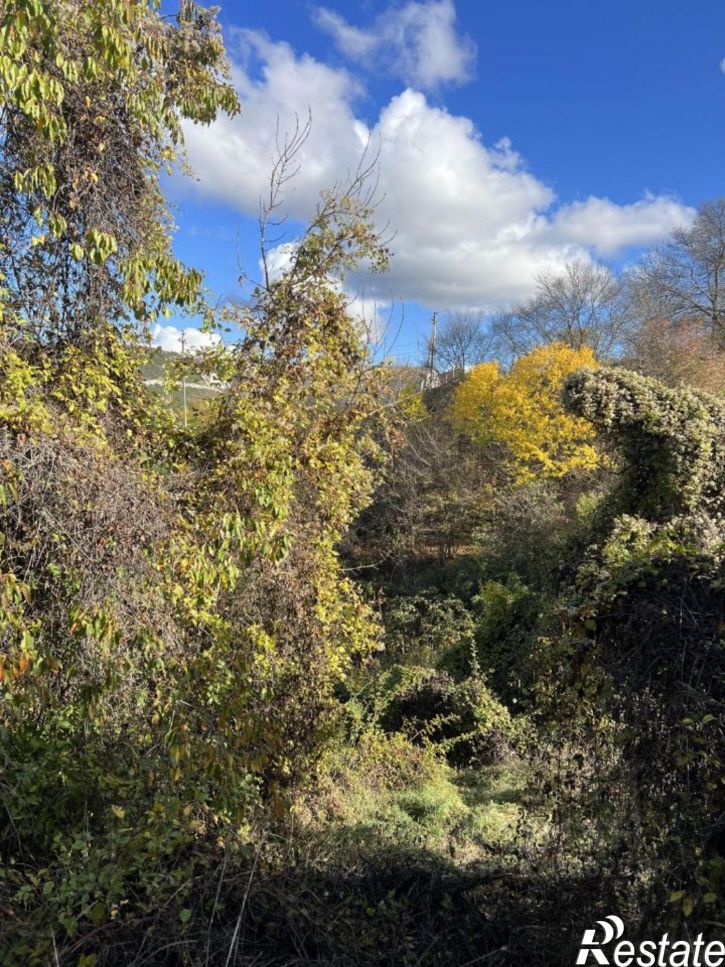 Земельный участок Молодёжная улица, 40,  д. 40