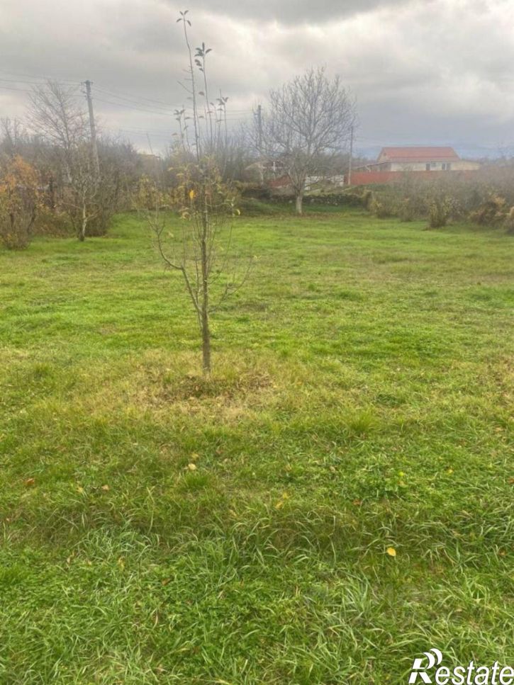 Земельный участок ул Садовая, 1,  д. 1