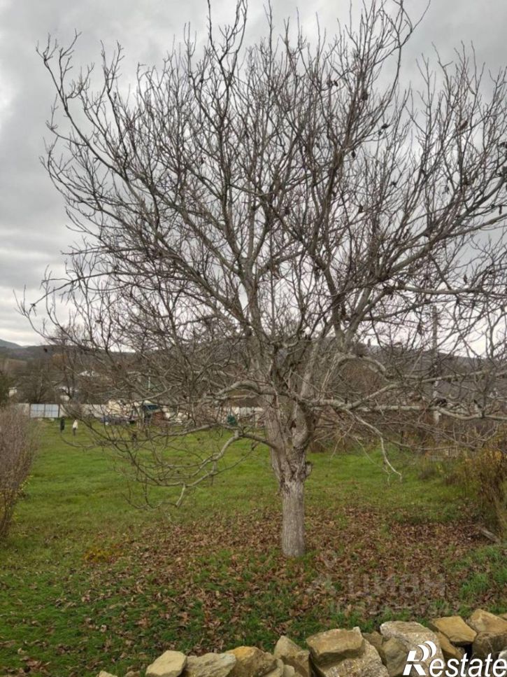 Земельный участок ул Садовая, 1,  д. 1