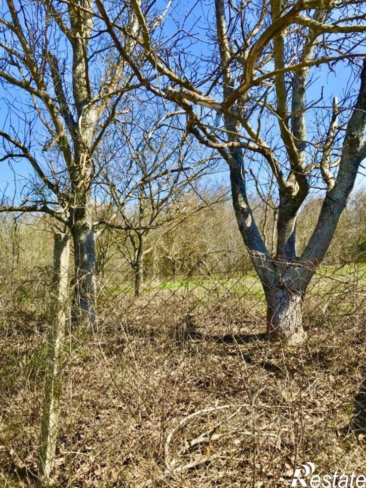 Земельный участок Симферопольский район