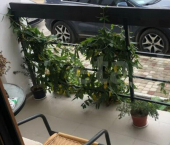 2-комн, 60кв м, этаж 1/2 Фиолентовское шоссе, 70/124