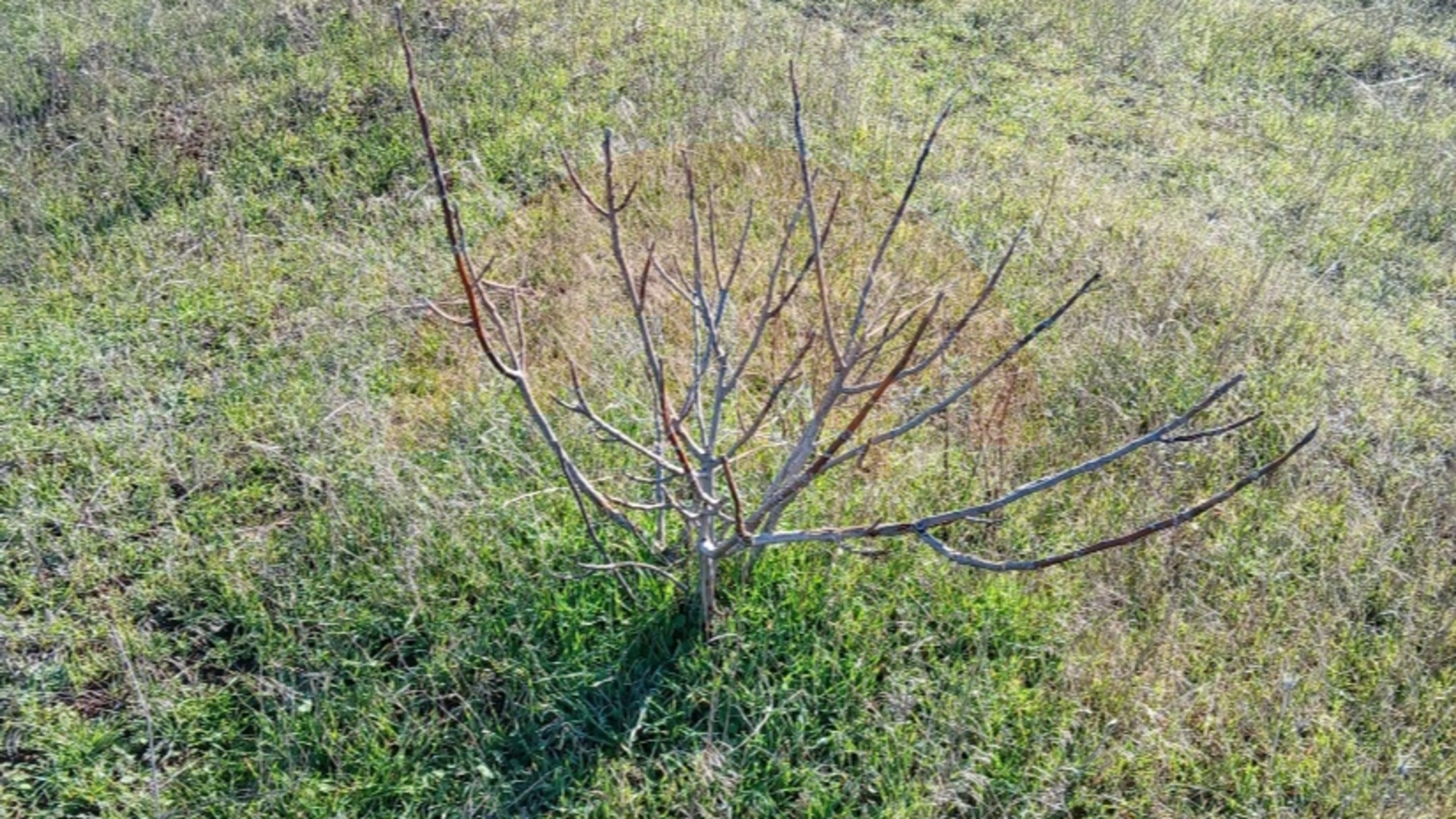 Купить землю, земельный участок за 1 400 000 рублей на Ленина ул.