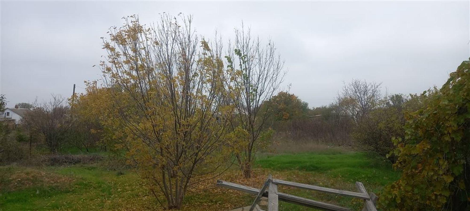 Купить дачу, дом, коттедж за 2 000 000 рублей на ул Виноградная, д. 23