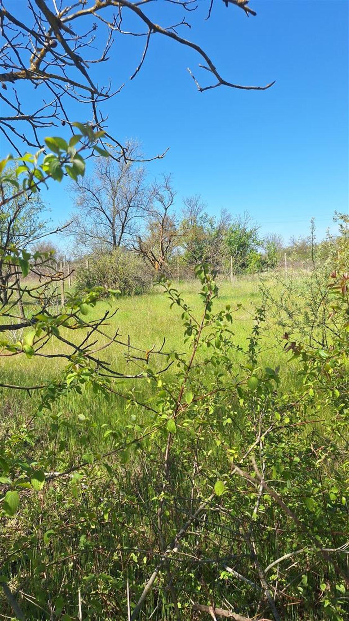 Купить землю, земельный участок за 2 000 000 рублей на тер. СНТ Медик