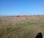 земля 6 сот Ленина ул.