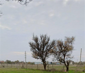 земля 10 сот ул Нижняя, д. 14