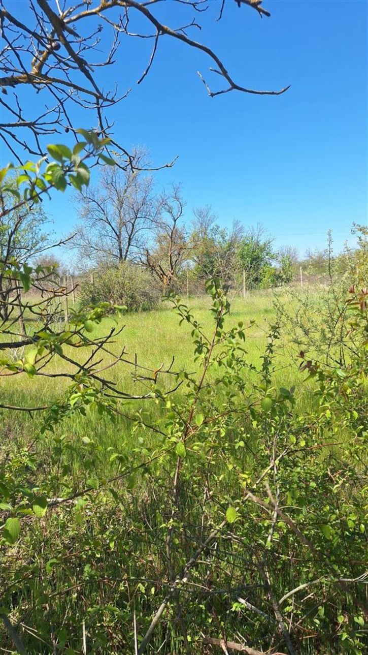 Земельный участок тер. СНТ Медик