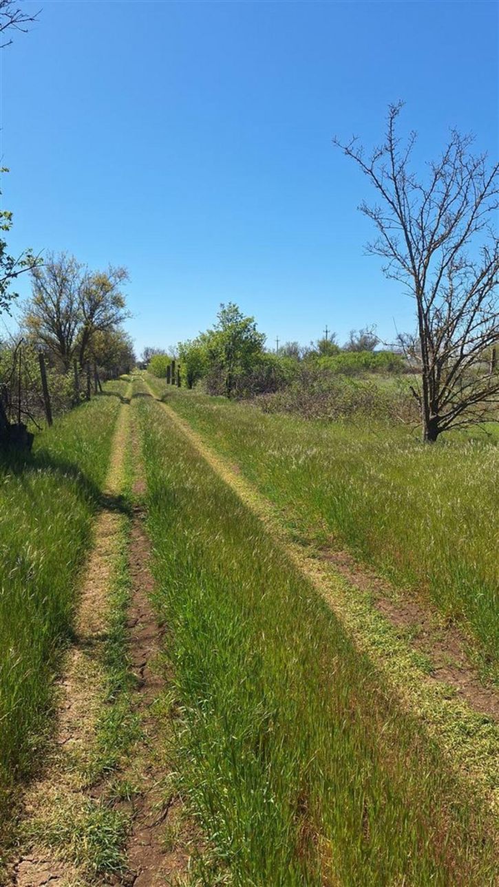 Земельный участок тер. СНТ Медик