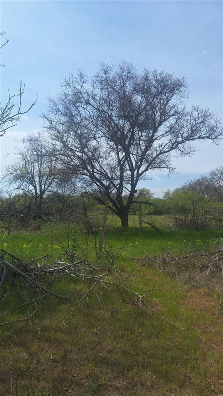 Земельный участок тер. СНТ Медик