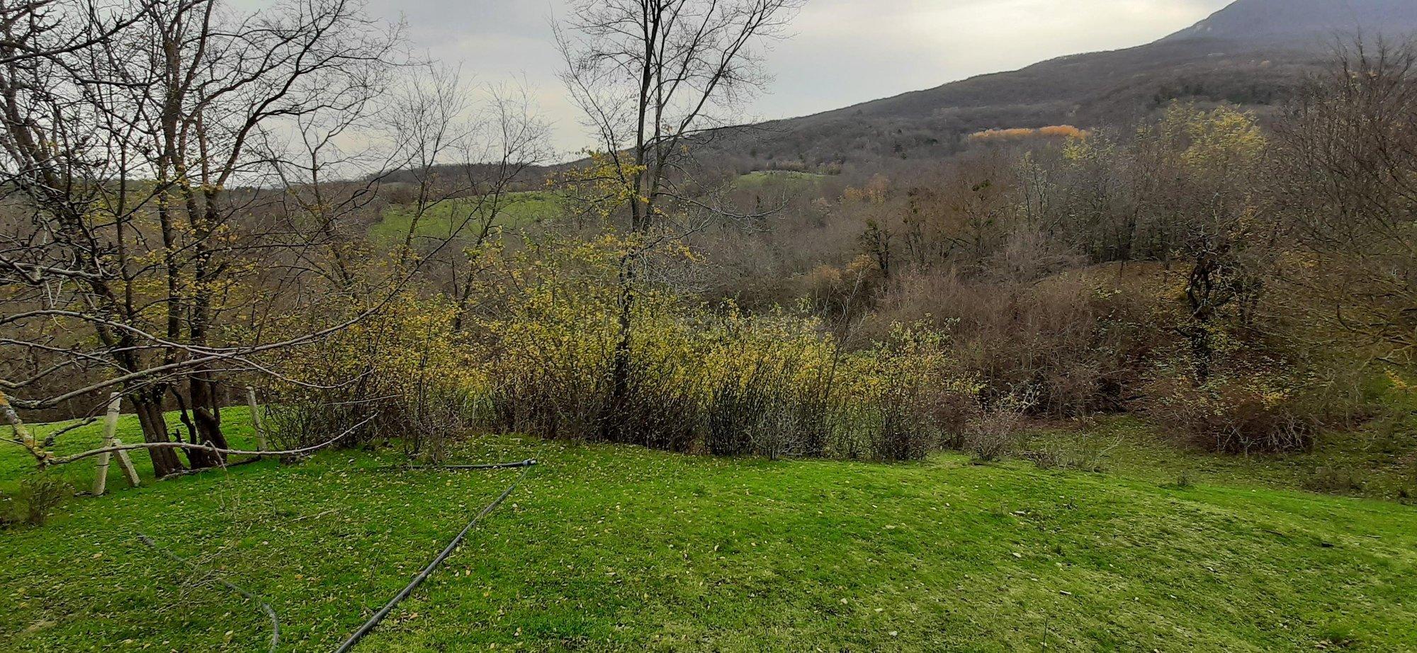 Купить землю, земельный участок за 3 150 000 рублей на улица Шевченко