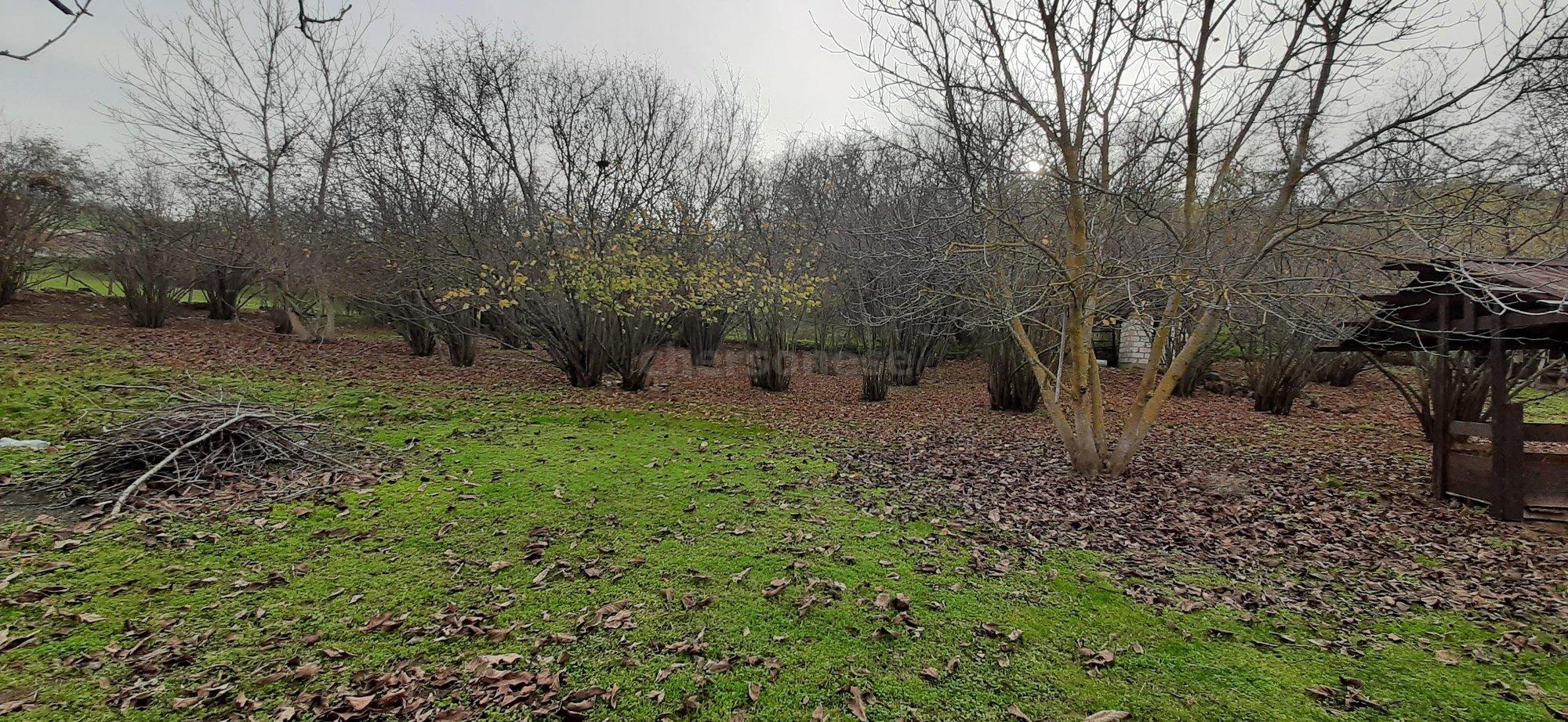 Купить землю, земельный участок за 7 400 000 рублей на улица Куйбышевская