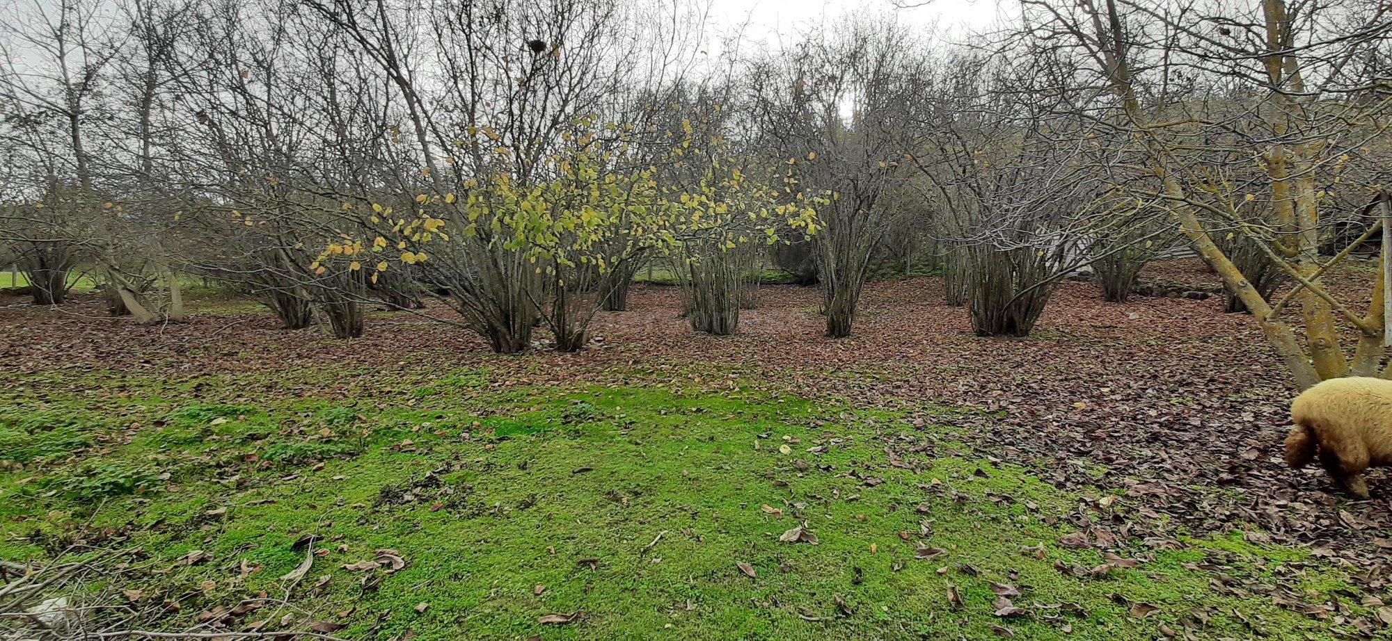 Купить землю, земельный участок за 7 400 000 рублей на улица Куйбышевская