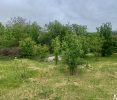 земля 6 сот Симферопольский район