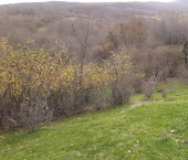 земля 25 сот улица Шевченко