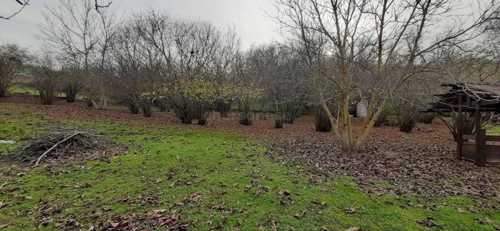 Земельный участок улица Куйбышевская