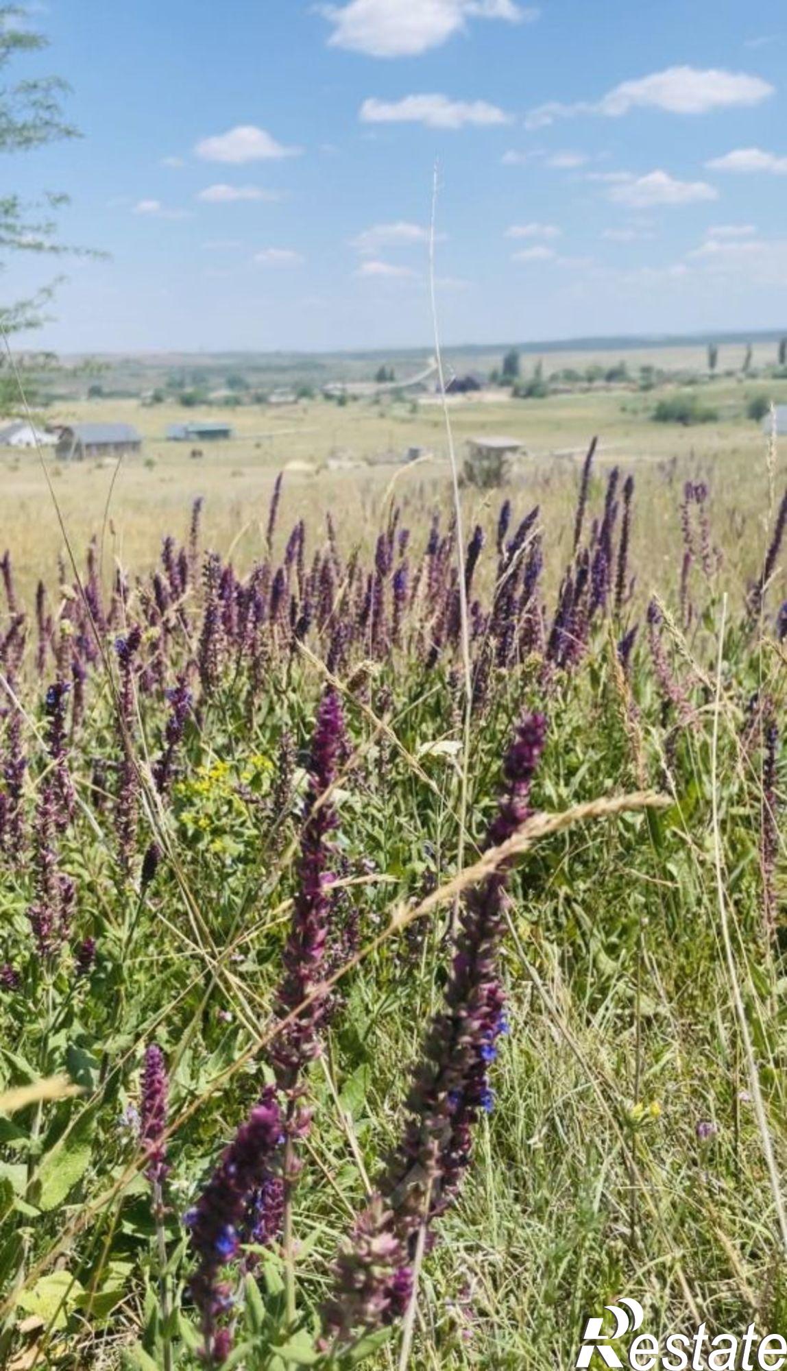 Купить землю, земельный участок за 1 500 000 рублей на Ореховая улица, 52