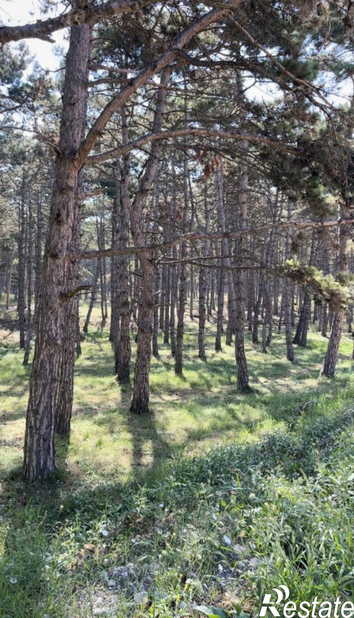 Купить землю, земельный участок за 7 500 000 рублей на Севастополь, Предместная улица, 79А