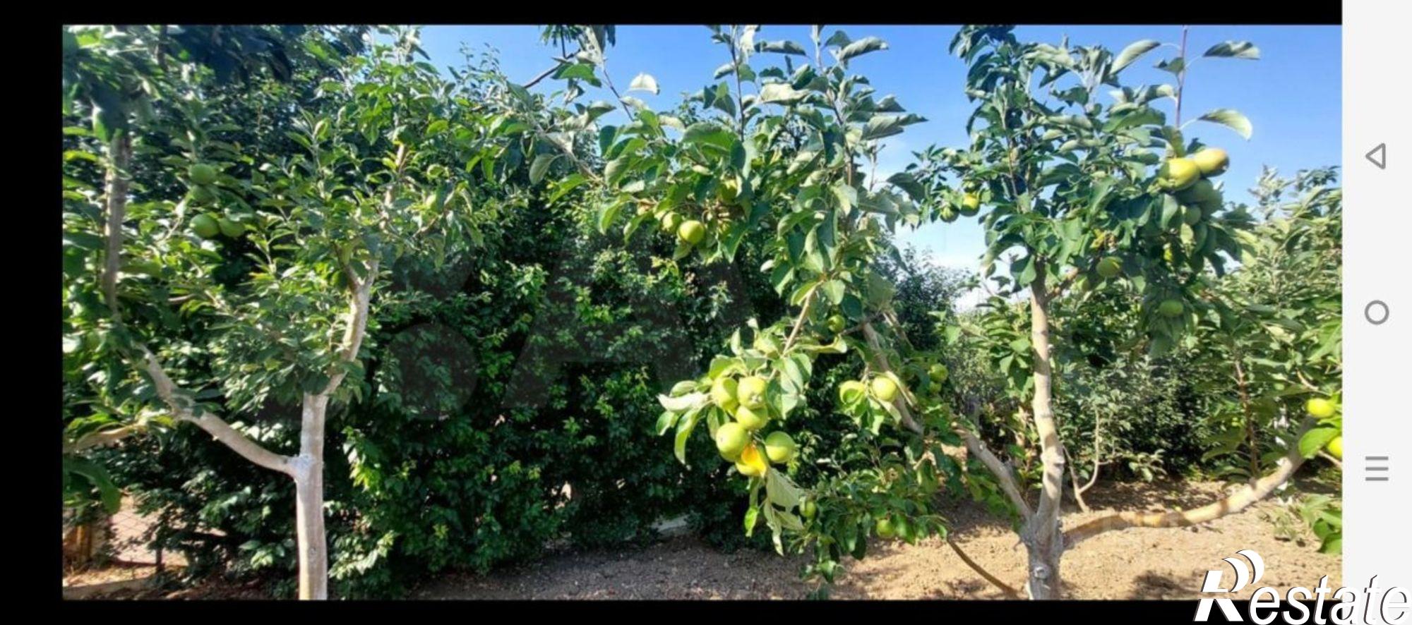 Купить дачу, дом, коттедж за 6 500 000 рублей на муниципальный округ Феодосия