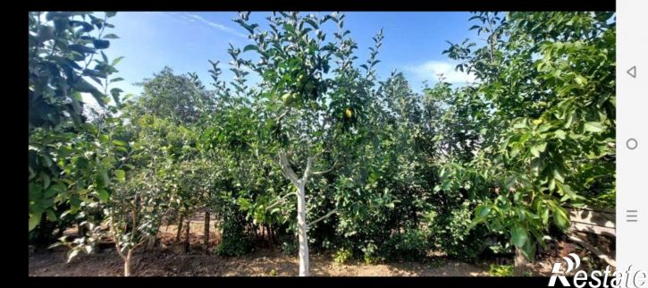 Коттедж/дом муниципальный округ Феодосия