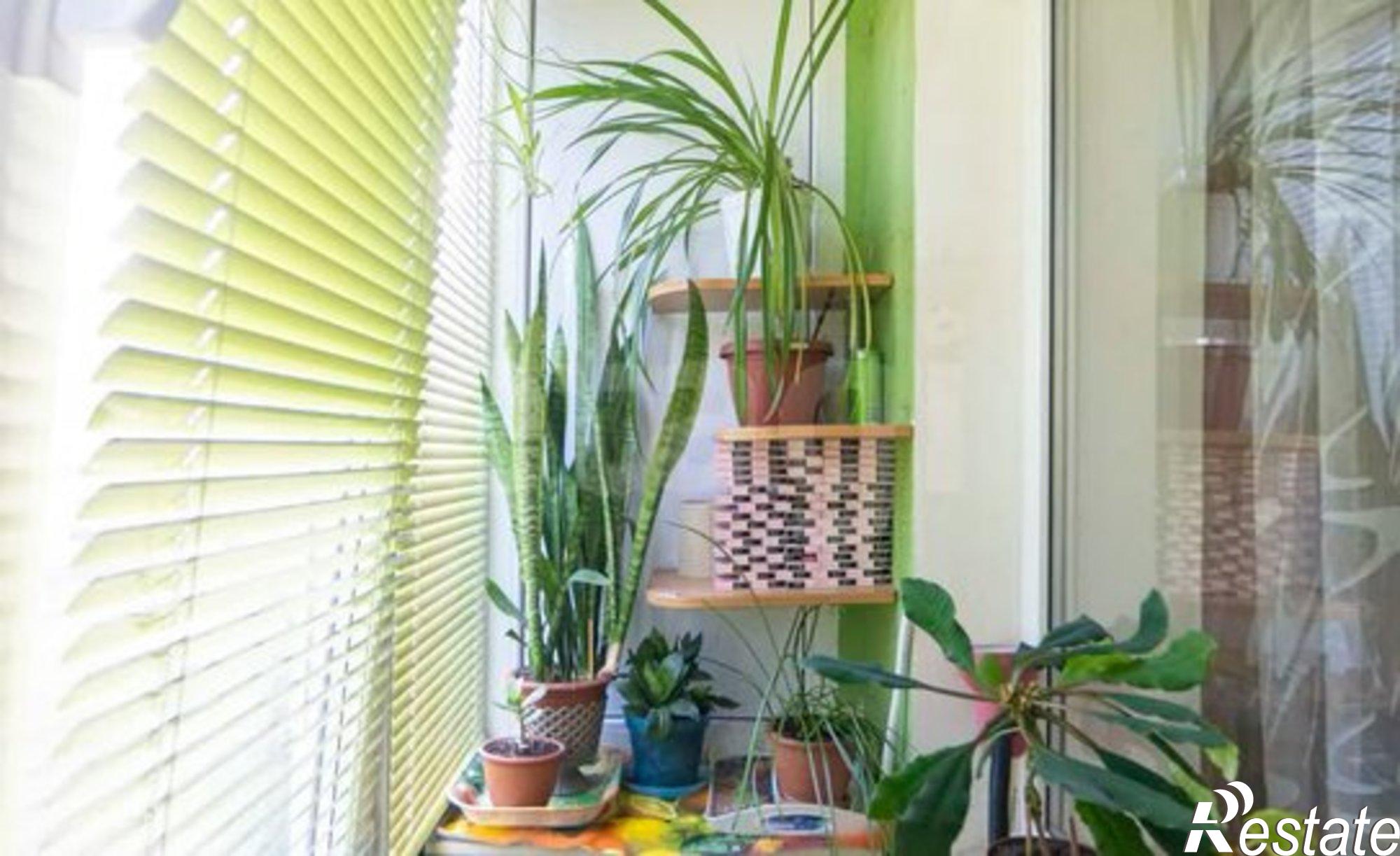 Купить квартиру за 10 499 000 рублей на проспект Гагарина, 38