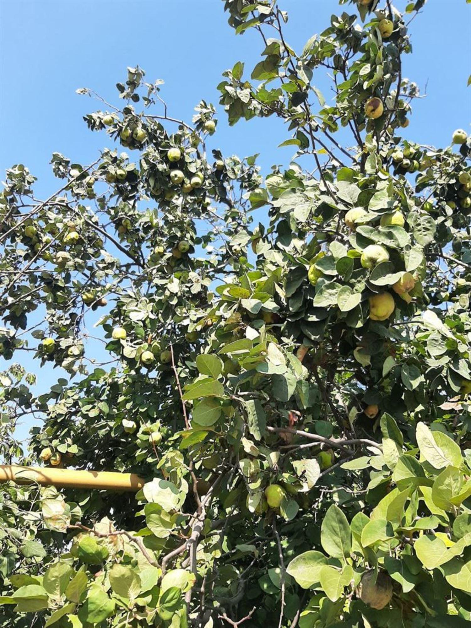 Купить землю, земельный участок за 2 670 000 рублей на ул Садовая, д. 21