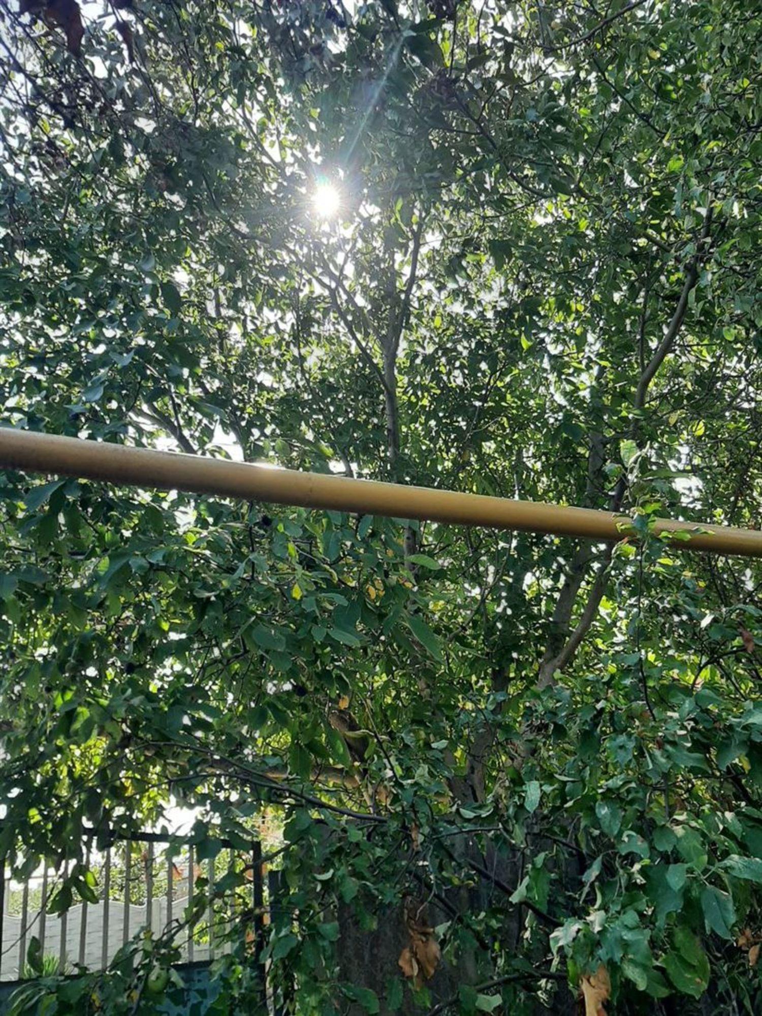 Купить землю, земельный участок за 2 670 000 рублей на ул Садовая, д. 21