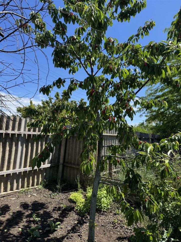 3-комн квартира ул Лисконоженко, д. 12