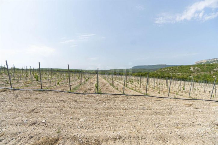 Земельный участок Кудрино