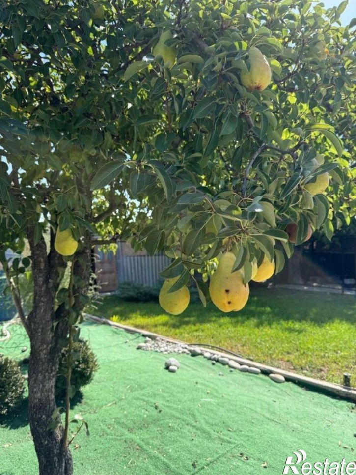 Коттедж/дом ул Северная