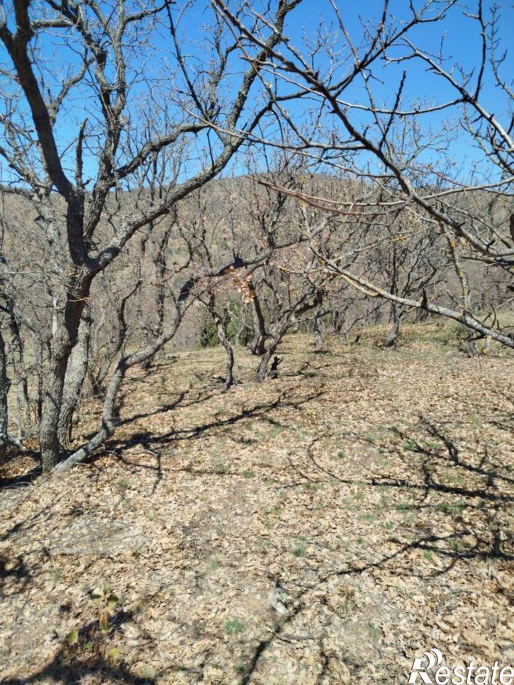 Земельный участок Курортная улица, 3,  д. 3