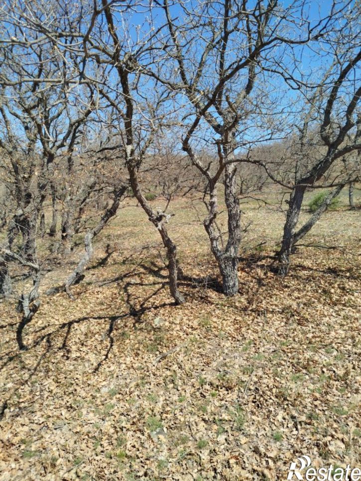 Земельный участок Курортная улица, 3,  д. 3