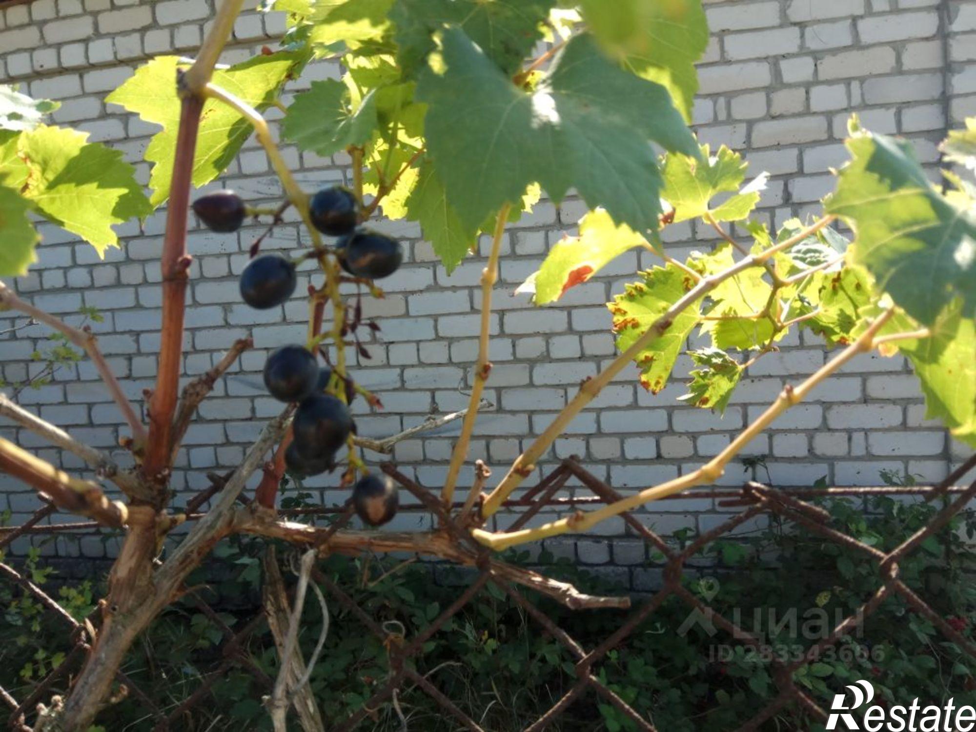 Купить дачу, дом, коттедж за 2 500 000 рублей на Ленинский район
