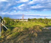 земля 12 сот 