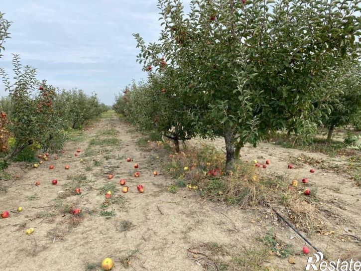 Земельный участок Октябрьская улица