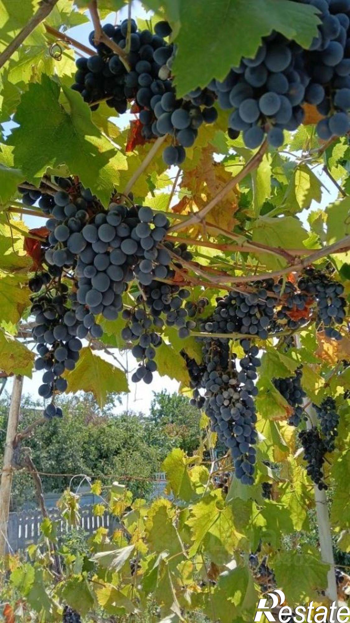 Купить дачу, дом, коттедж за 3 700 000 рублей на ул Шоссейная
