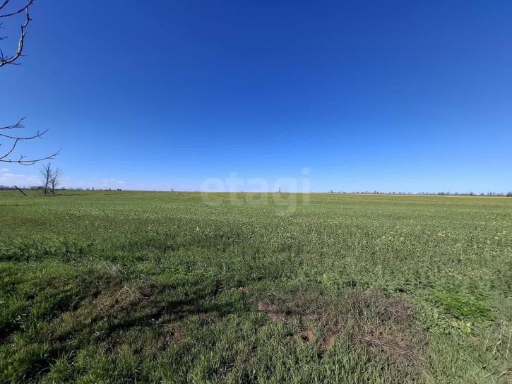 Земельный участок Россия, Ореховское сельское поселение, село Червоное