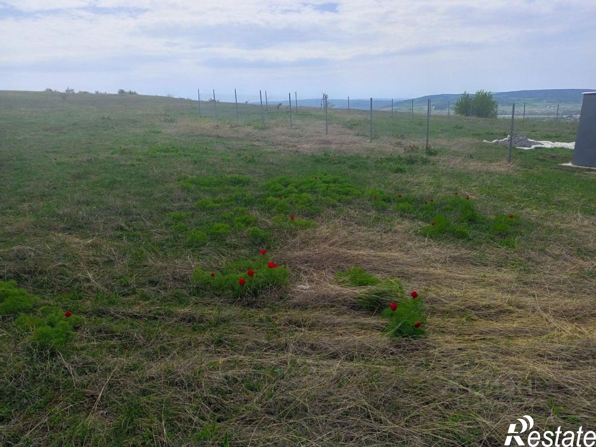 Купить землю, земельный участок за 1 900 000 рублей на ул Школьная