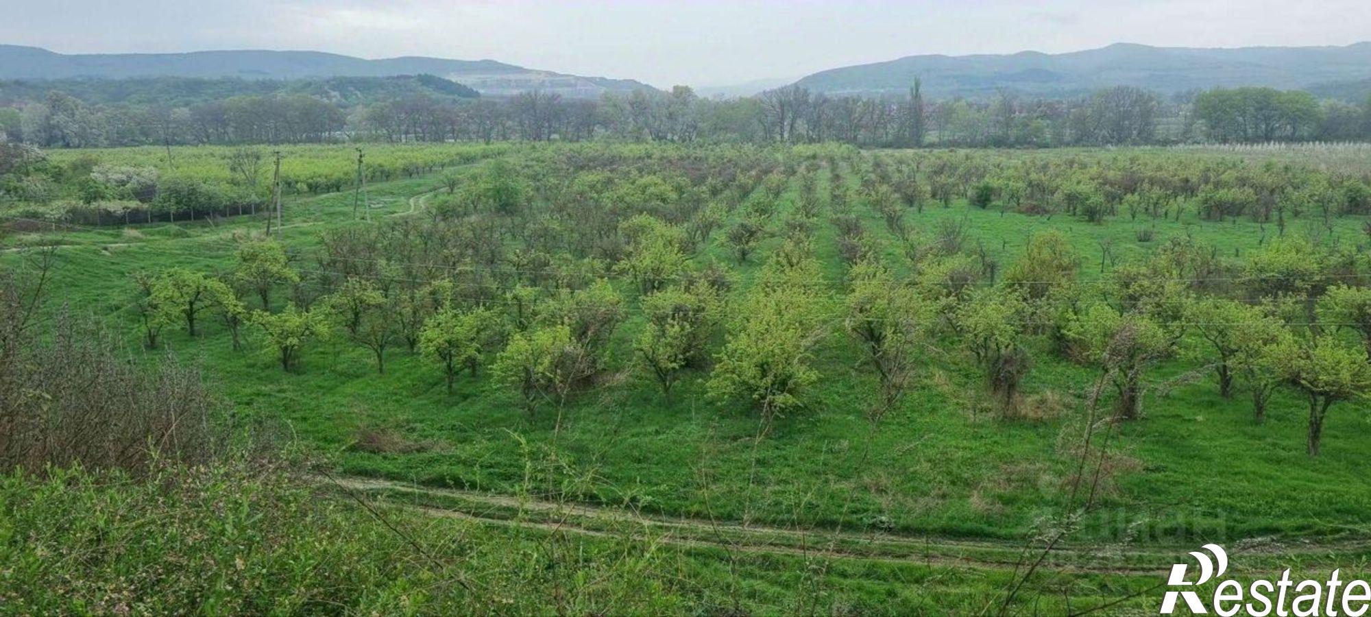 Купить землю, земельный участок за 7 500 000 рублей на 35Н-045;С-010207