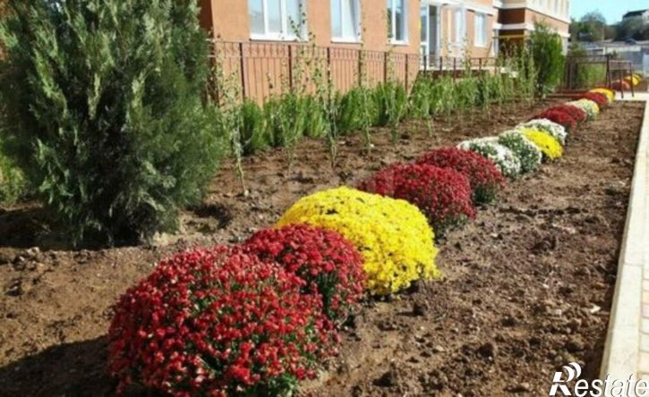 1-комн квартира Лабораторное шоссе, 33 1,  д. 33 1,  к. 1