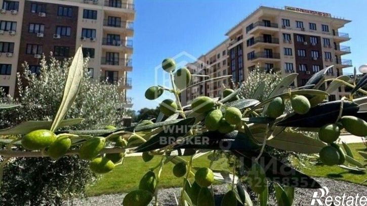 1-комн квартира улица Авроры, 77 к3,  д. 77 к3