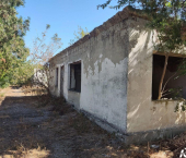 ОСЗ 664 кв м ул Мира, 16