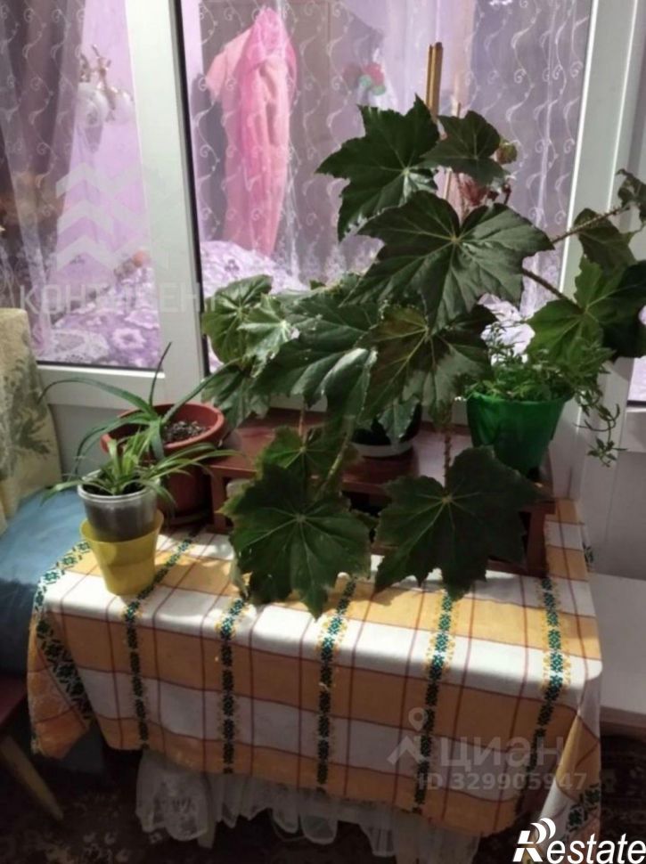 2-комн квартира Школьная улица, 14,  д. 14