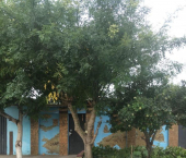 коттедж 58 кв м ул Горького, 10