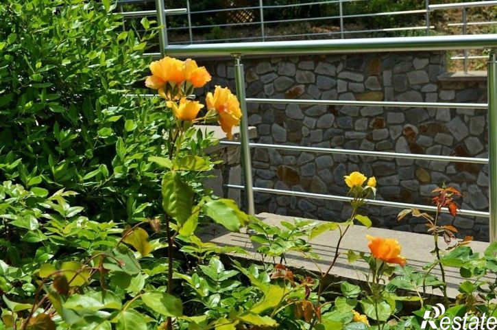 3-комн квартира Севастопольское шоссе, 52Х,  д. 52Х