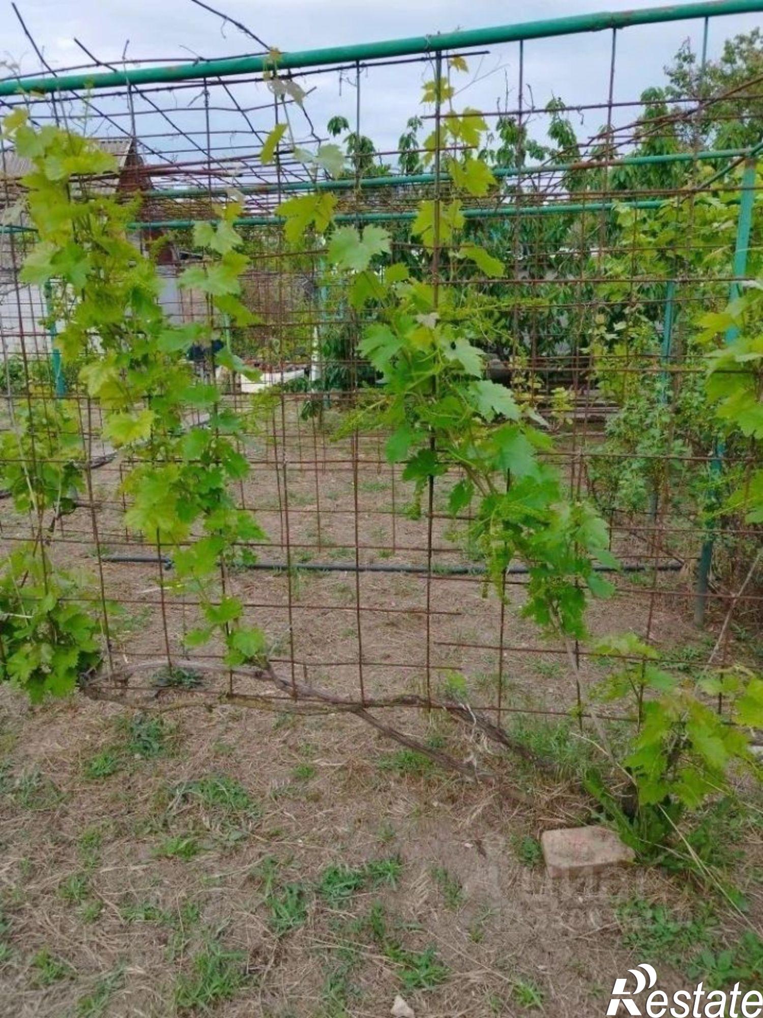 Купить дачу, дом, коттедж за 1 600 000 рублей на улица Персиковая