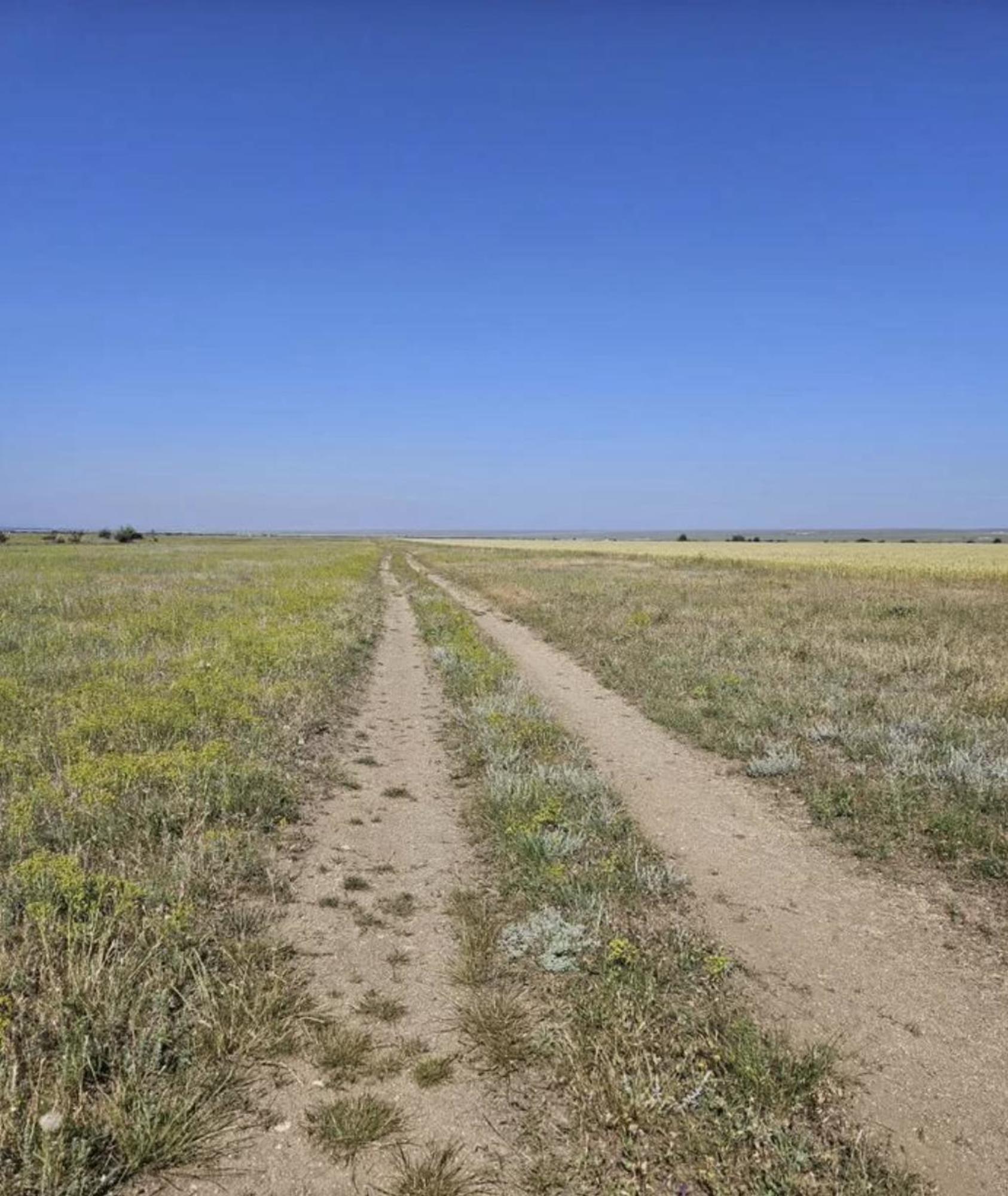 Купить землю, земельный участок за 850 000 рублей на село Окуневка